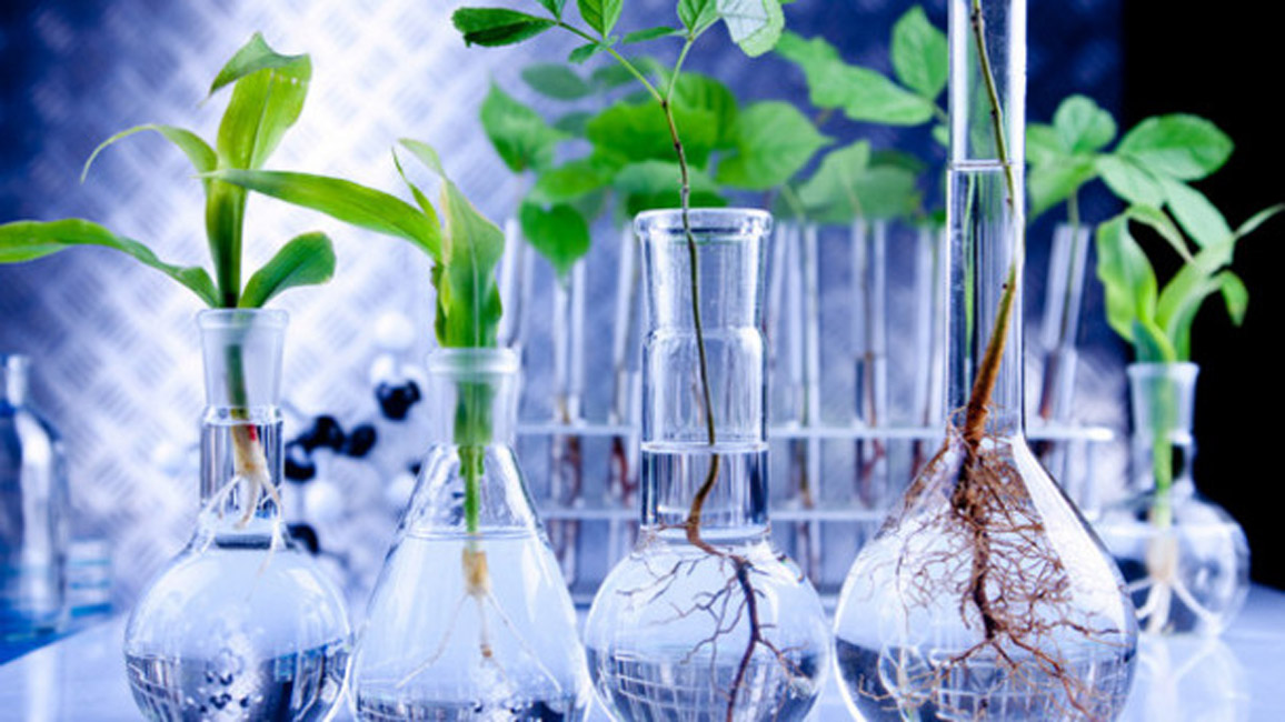 Huntington is looking for mentors for its science research program participants 