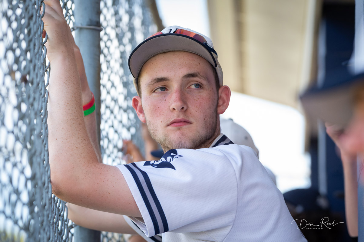 31st baseball image