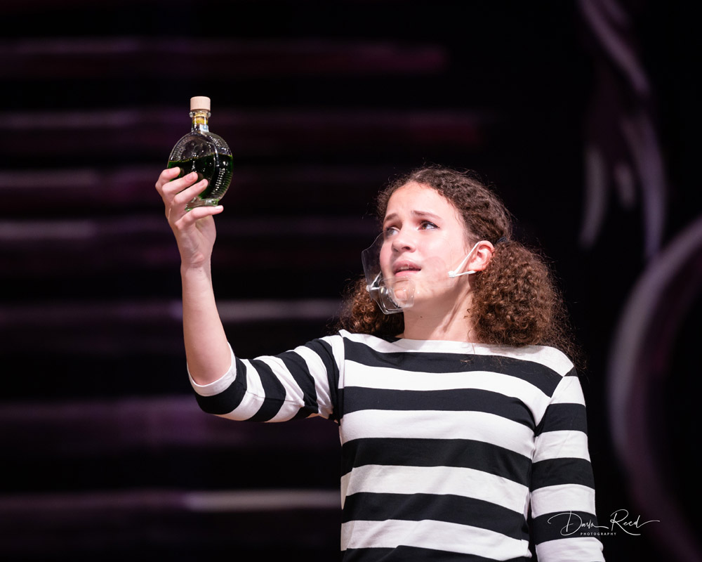 24th musical image