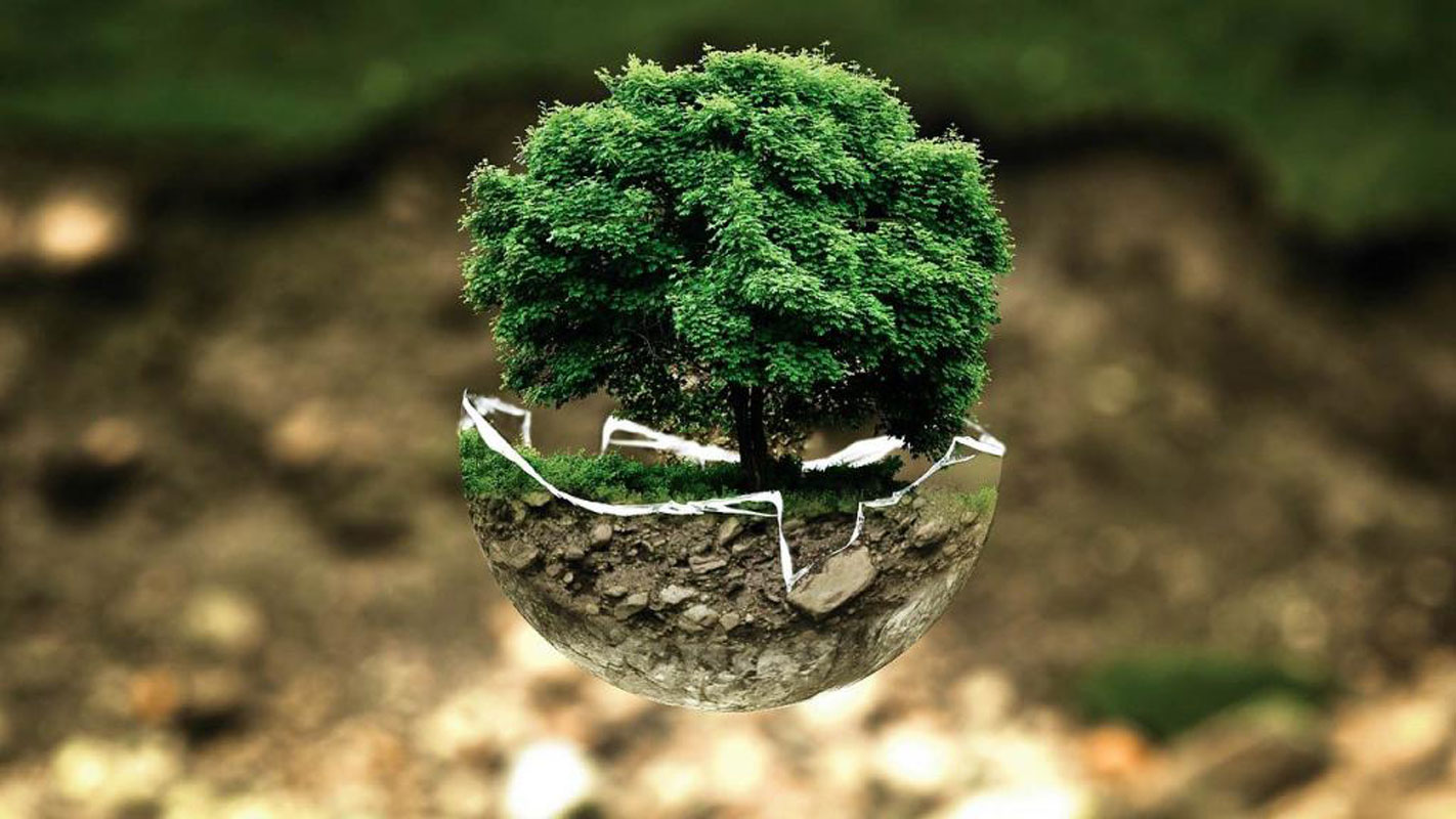 Huntington High School's Environmental Club is committed to making the world a greener and more colorful place 
