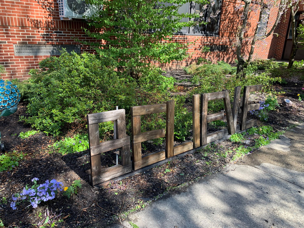 Eli's Garden is staring to bloom this spring