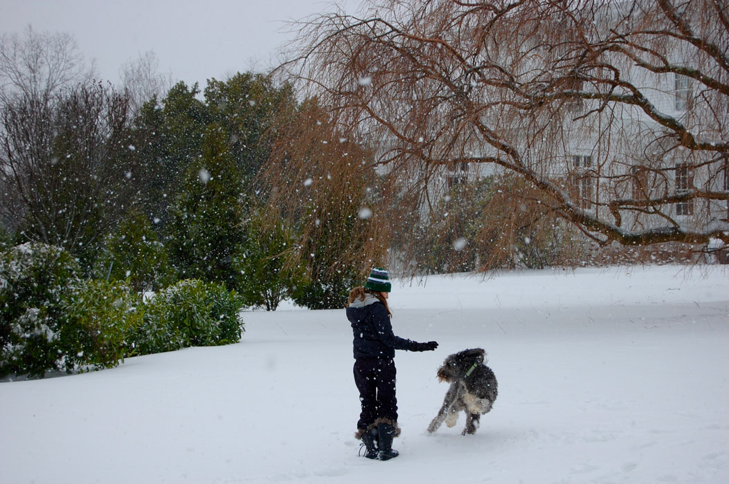There is a sense of mystery in this photo of Leah Sheran's sister and family dog.