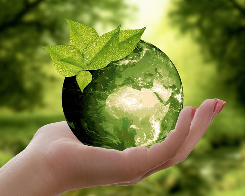Huntington's environmental club is striving to make the world a cleaner, healthier and overall better place 