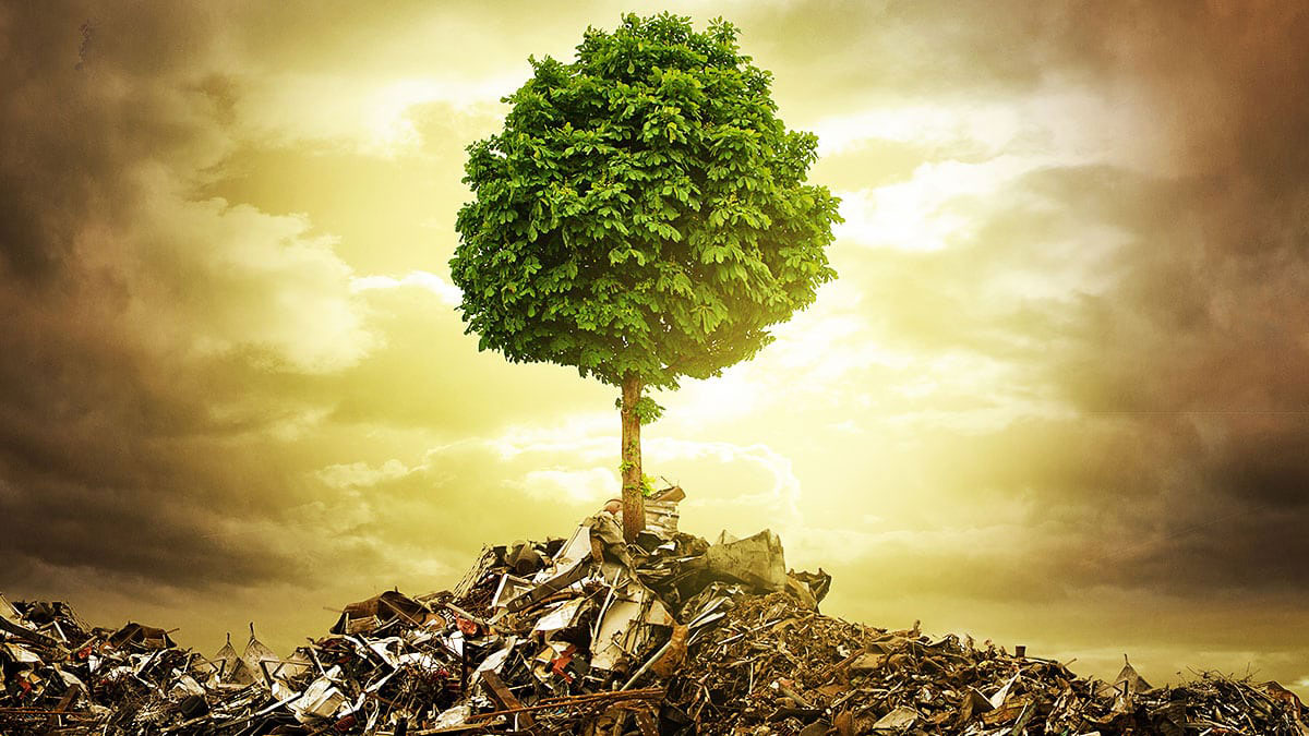 Huntington's environmental club is striving to make the world a cleaner, healthier and overall better place (5)