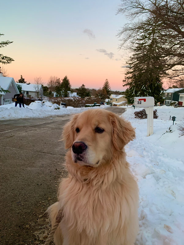 Daniela Luca is a skilled photographer, as this snow day assignment image proves.