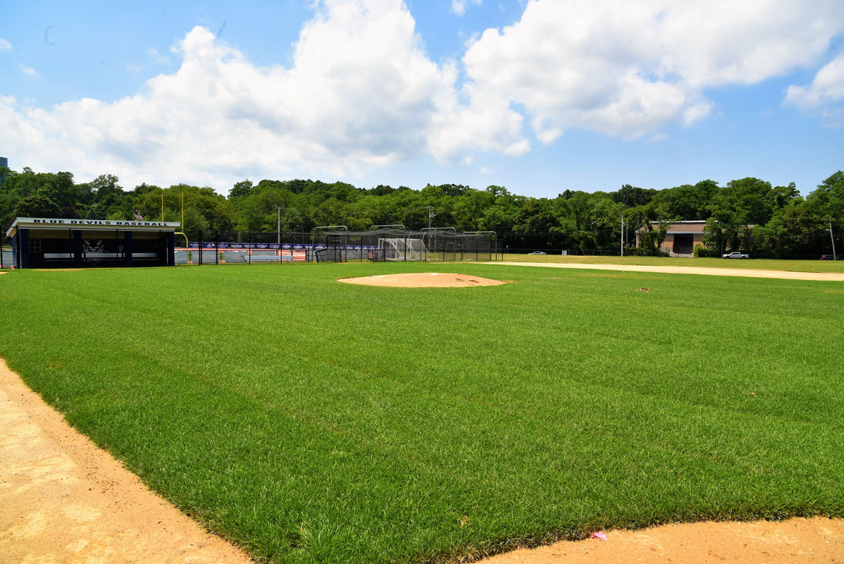The infield has been completely resodded.  