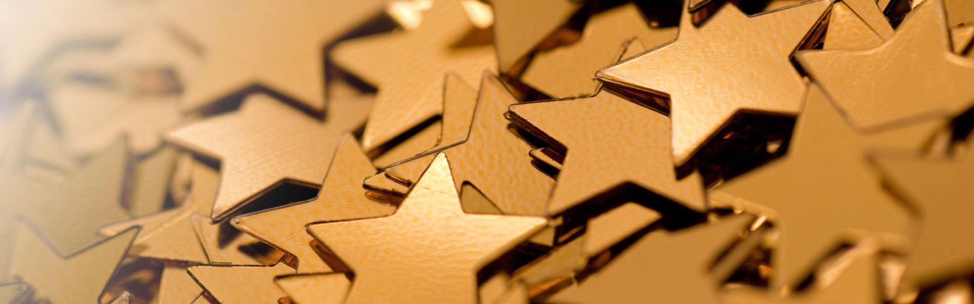 Southdown&rsquo;s Glittering Star Students Honored
