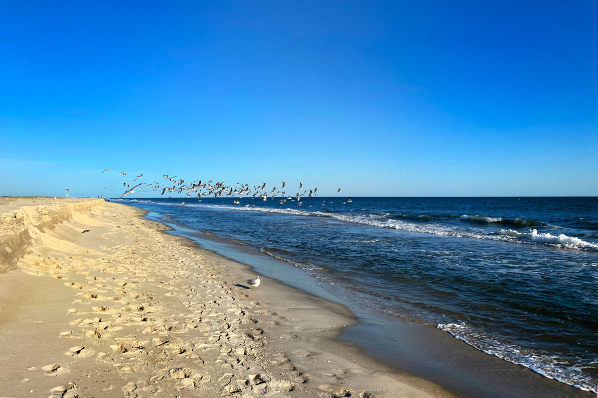 Huntington senior Lisa Martin has developed into a gifted photographer following years of study