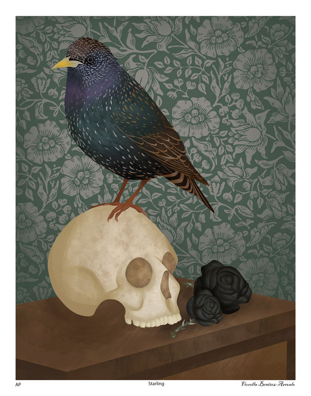 Fiorella Benitez-Arevalo created this intriquing artwork titled starling.