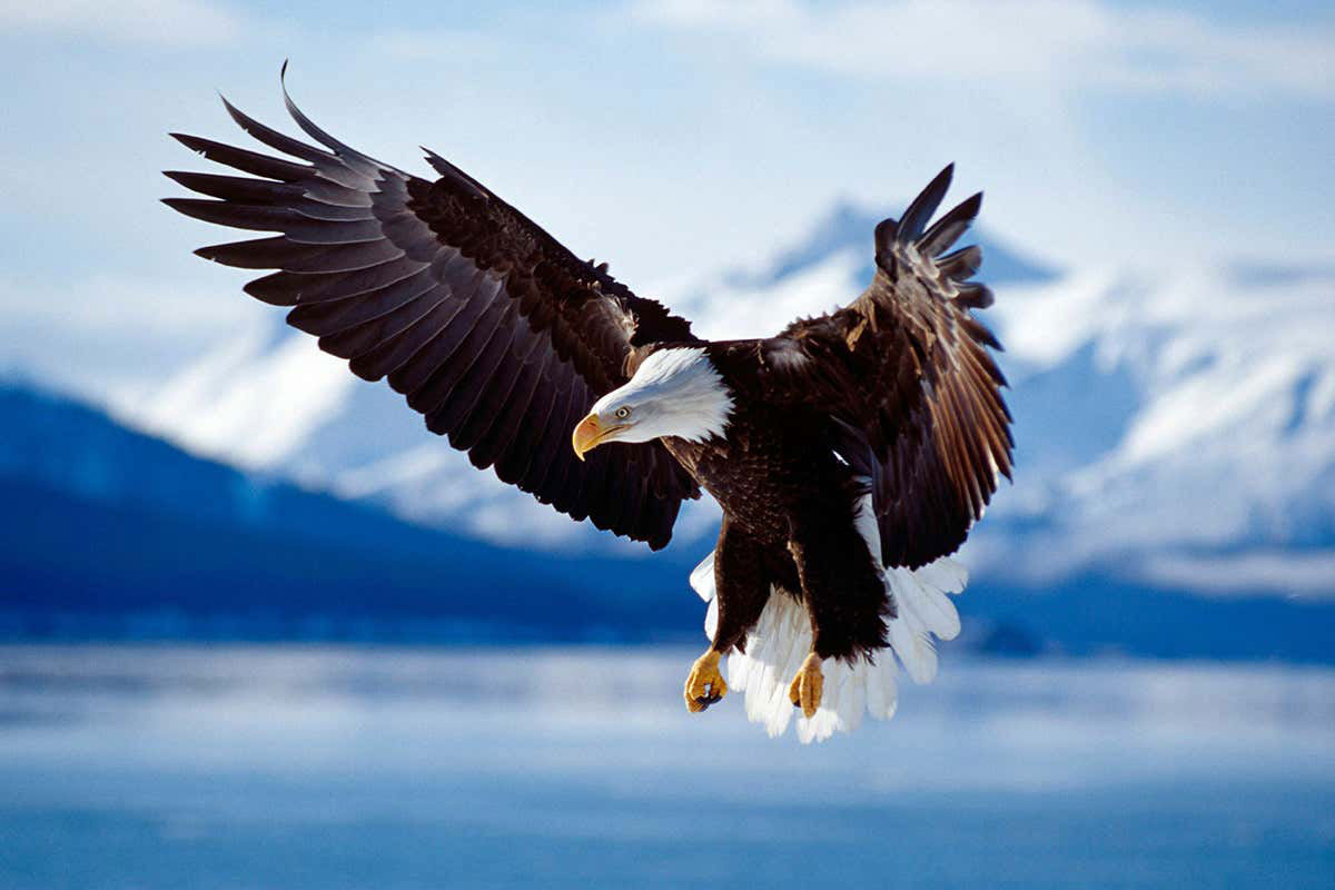 The Woodhull Eagle of the Month Award was presented to an exceptional group of youngsters 