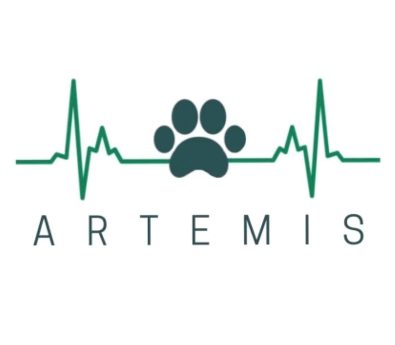 Artemis is a Huntington High School Virtual Enterprise company. 