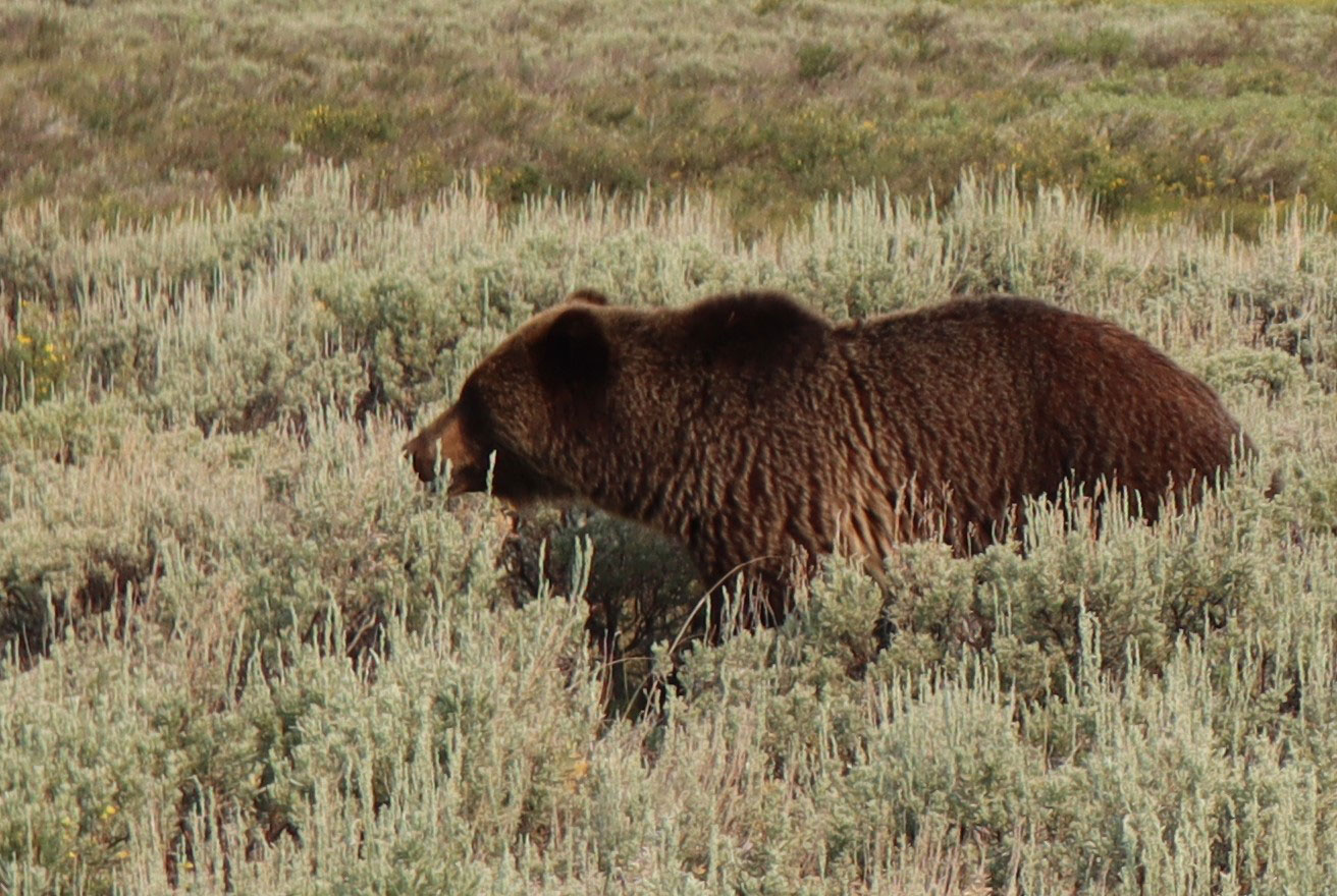 Huntington senior Nick DiPietro took exciting photos of the animals he encountered