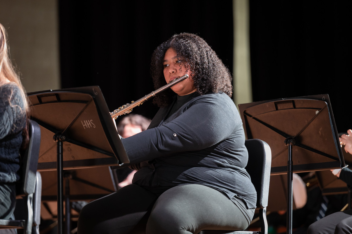 Sixth concert image