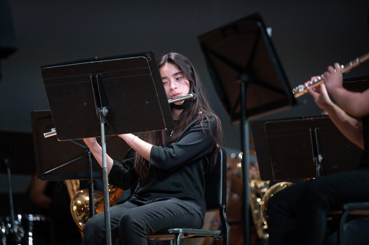 14th concert image