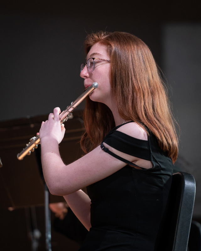 27th concert image
