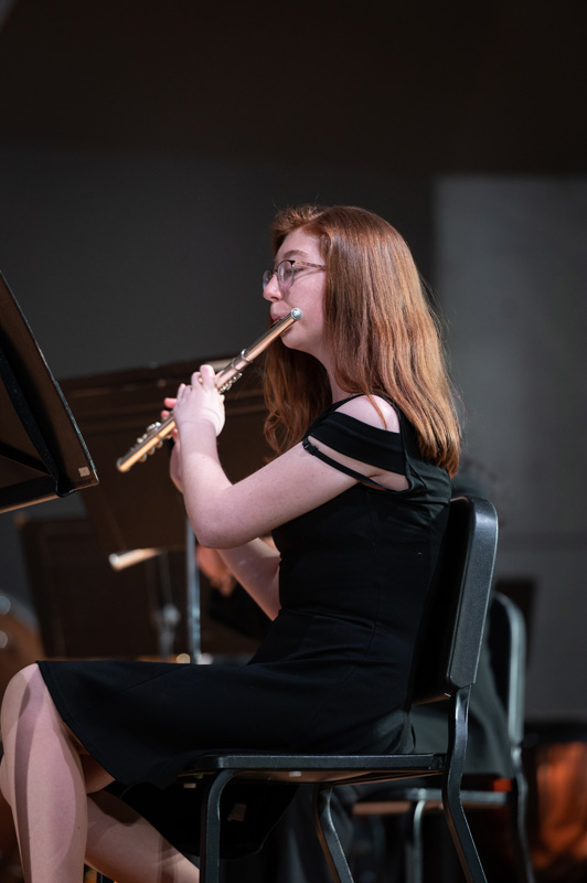 38th concert image