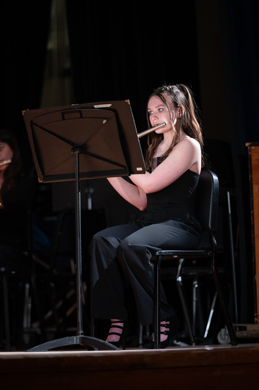 41st concert image