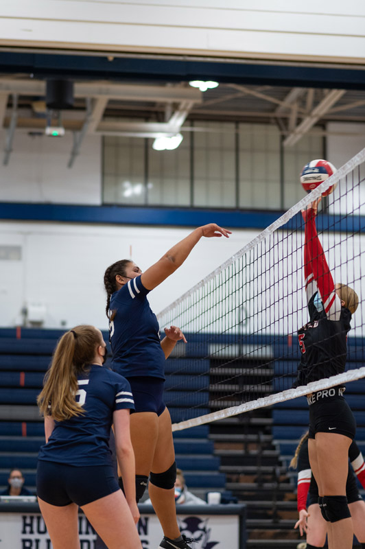16th volleyball image