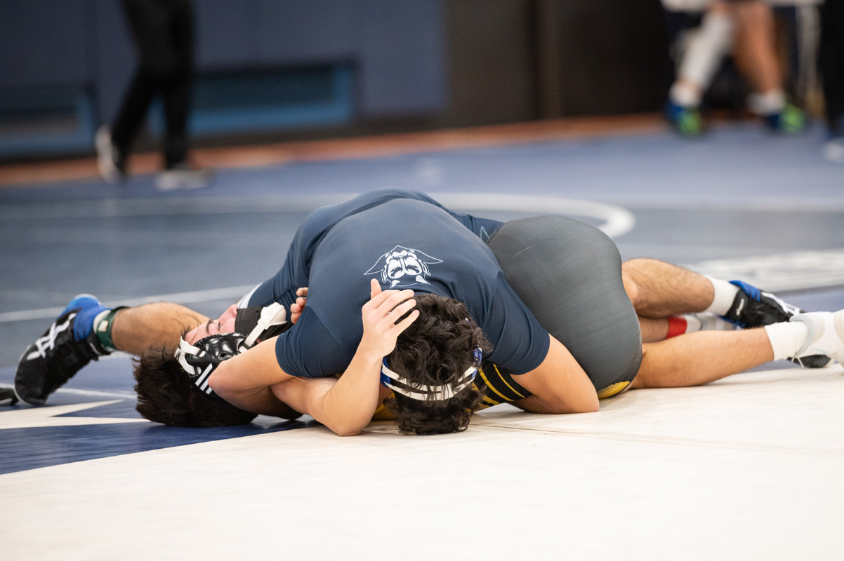 Twelfth wrestling image