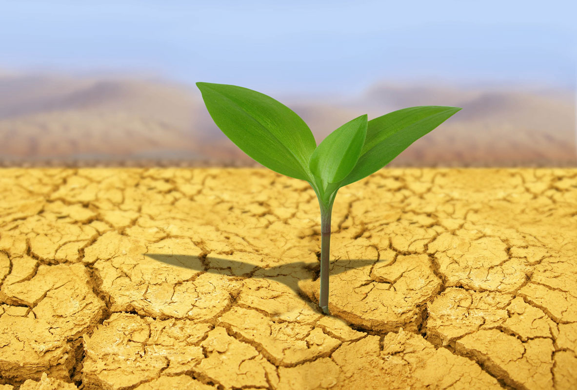 Shannon Kehoe and Jasjeet Kaur are pursuing drought related research 