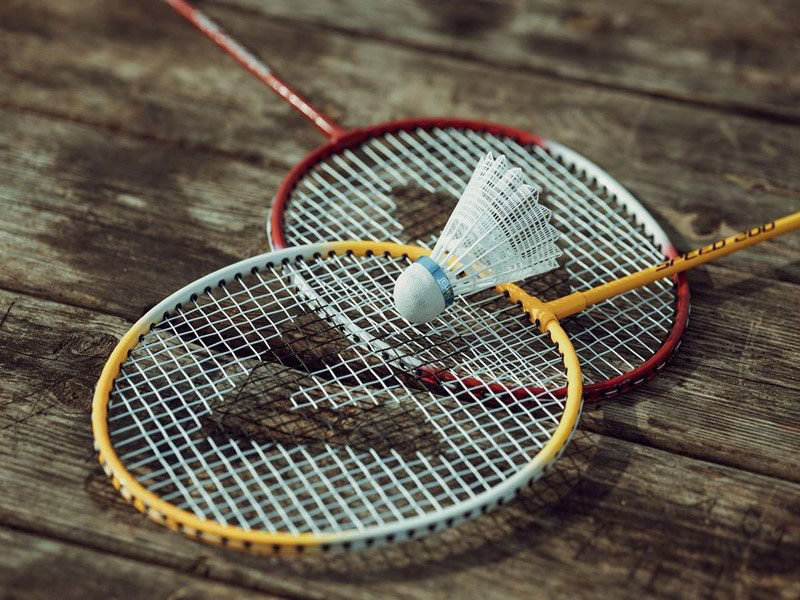 The Blue Devils might field varsity boys' and girls' badminton teams 