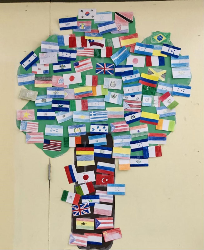 A tree consisting of flags representing the heritage of Finley students.
