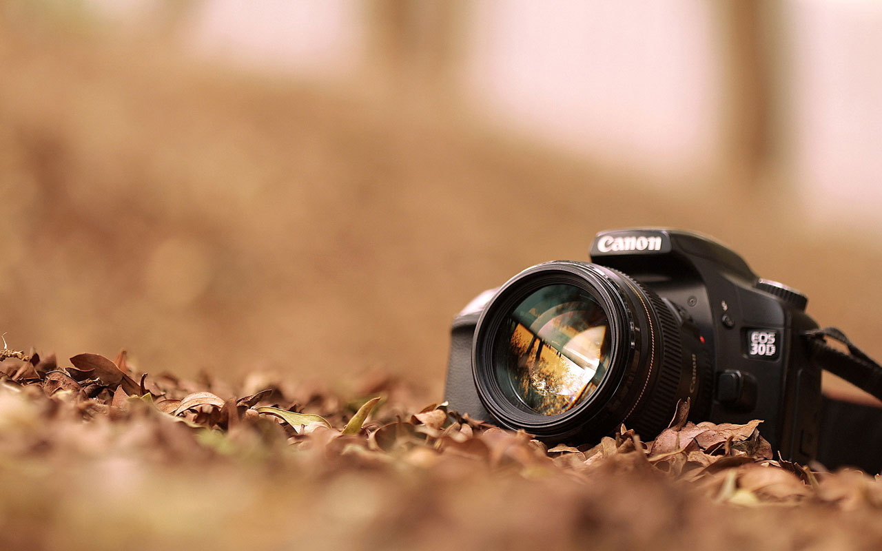 Reese Rinaldi and Roman Borovica won awards in the Huntington Camera Club photography contest 