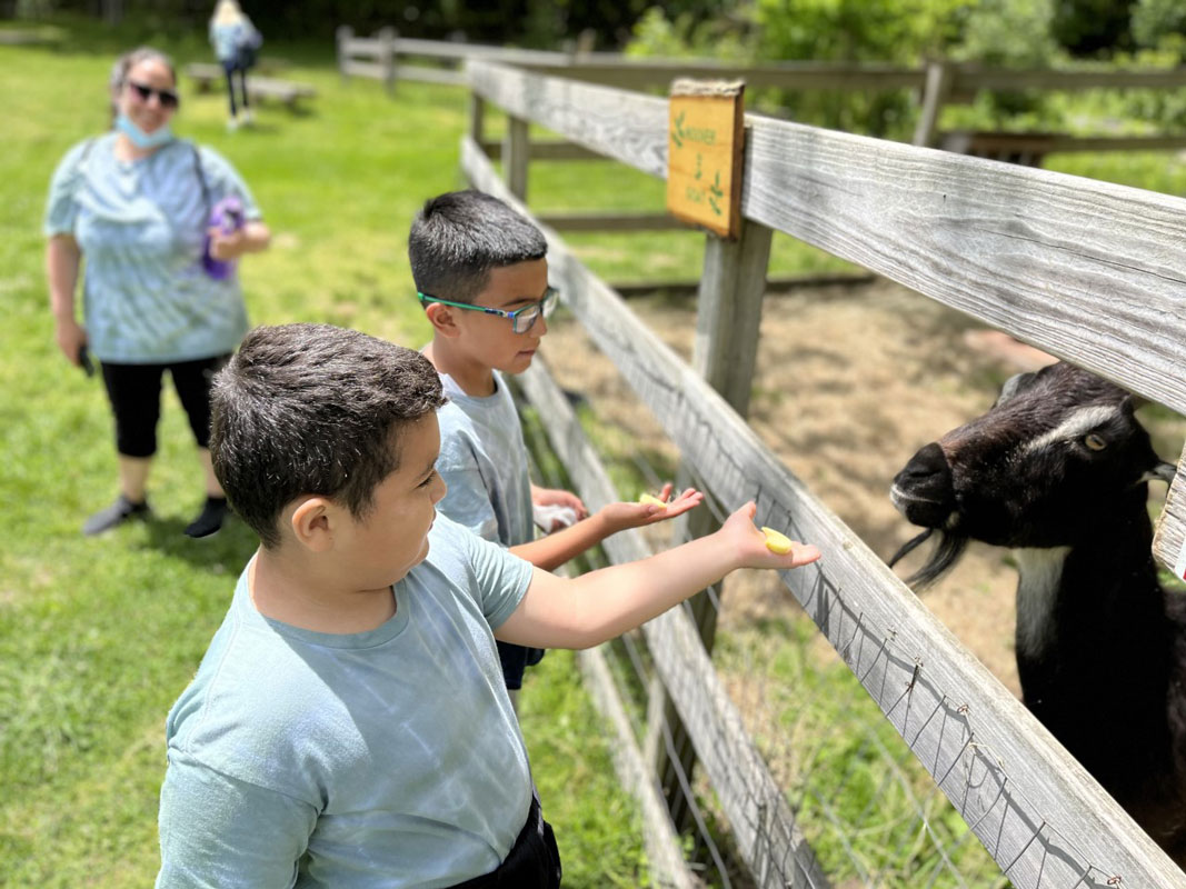 Southdown students fell in love with the farm animals 