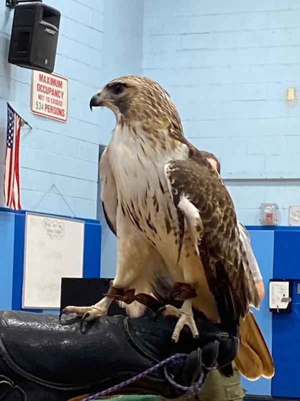 Interesting birds are visiting Huntington sixth graders this spring 