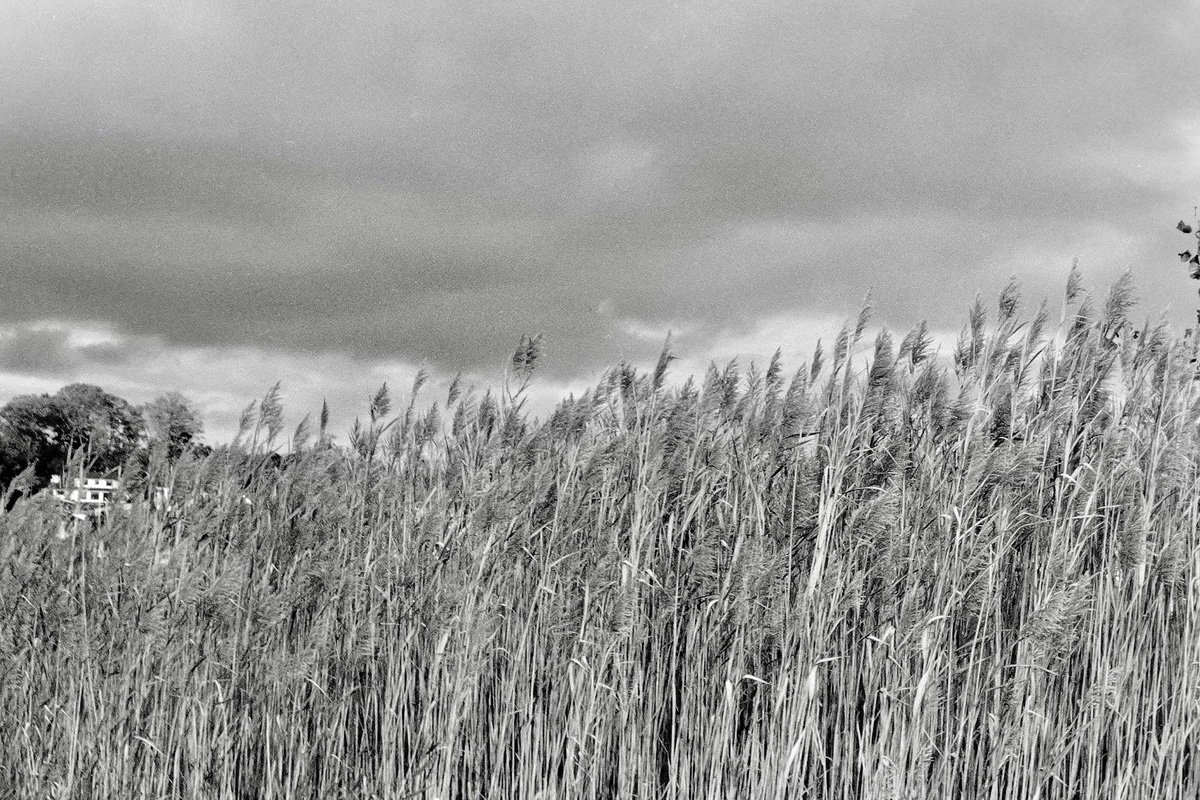 Huntington students took a series of spectacular black and white photos 