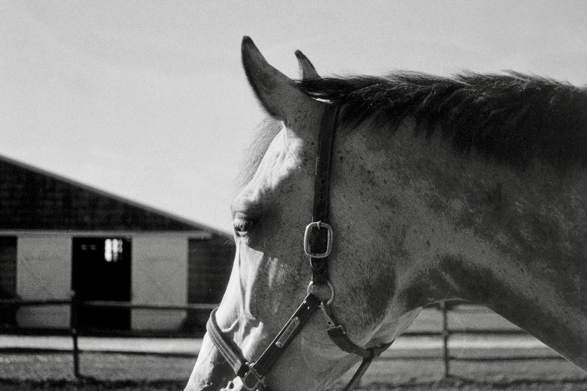 Huntington students took a series of spectacular black and white photos 