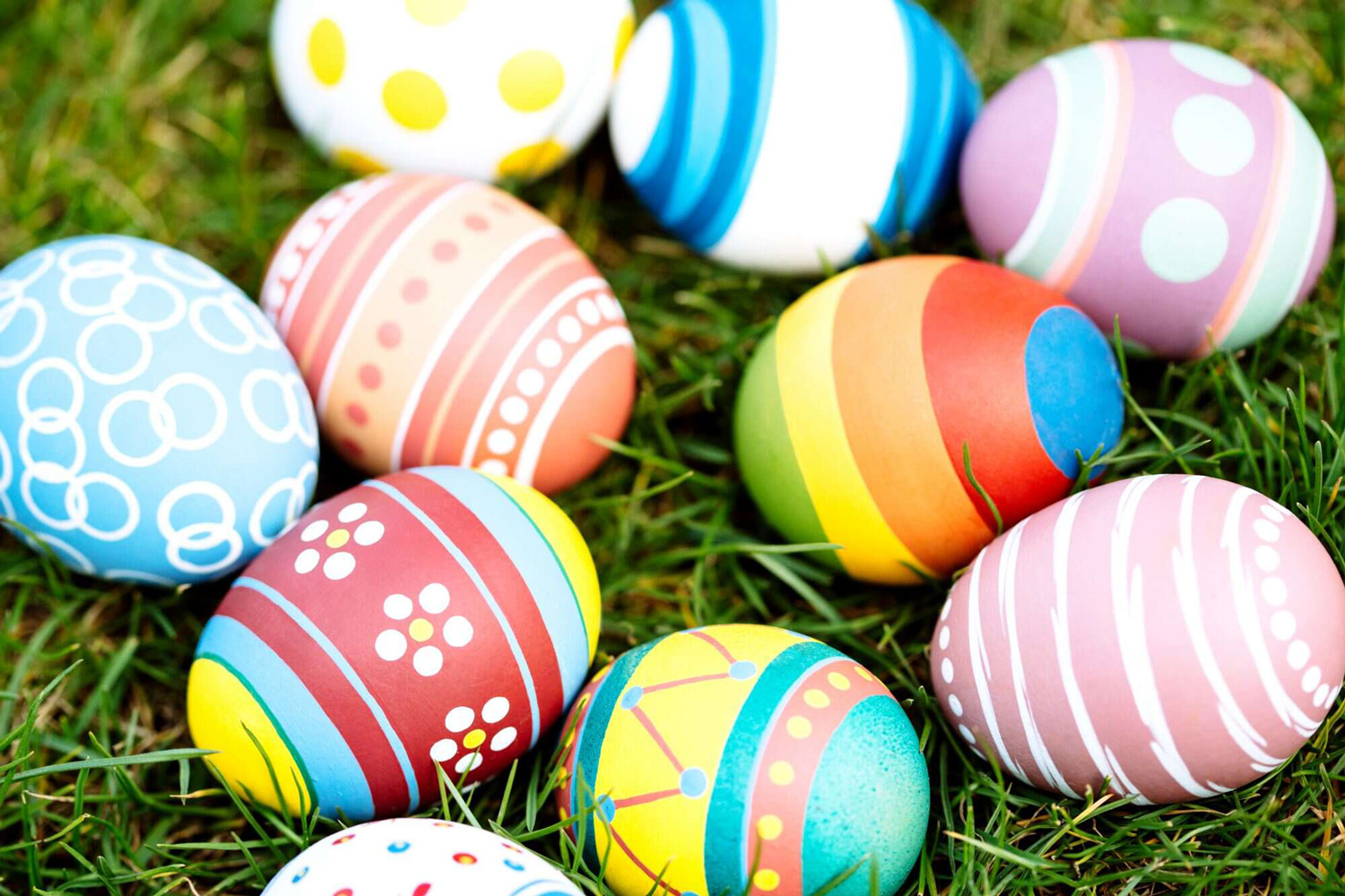  The Egg My House fundraiser is back this spring   