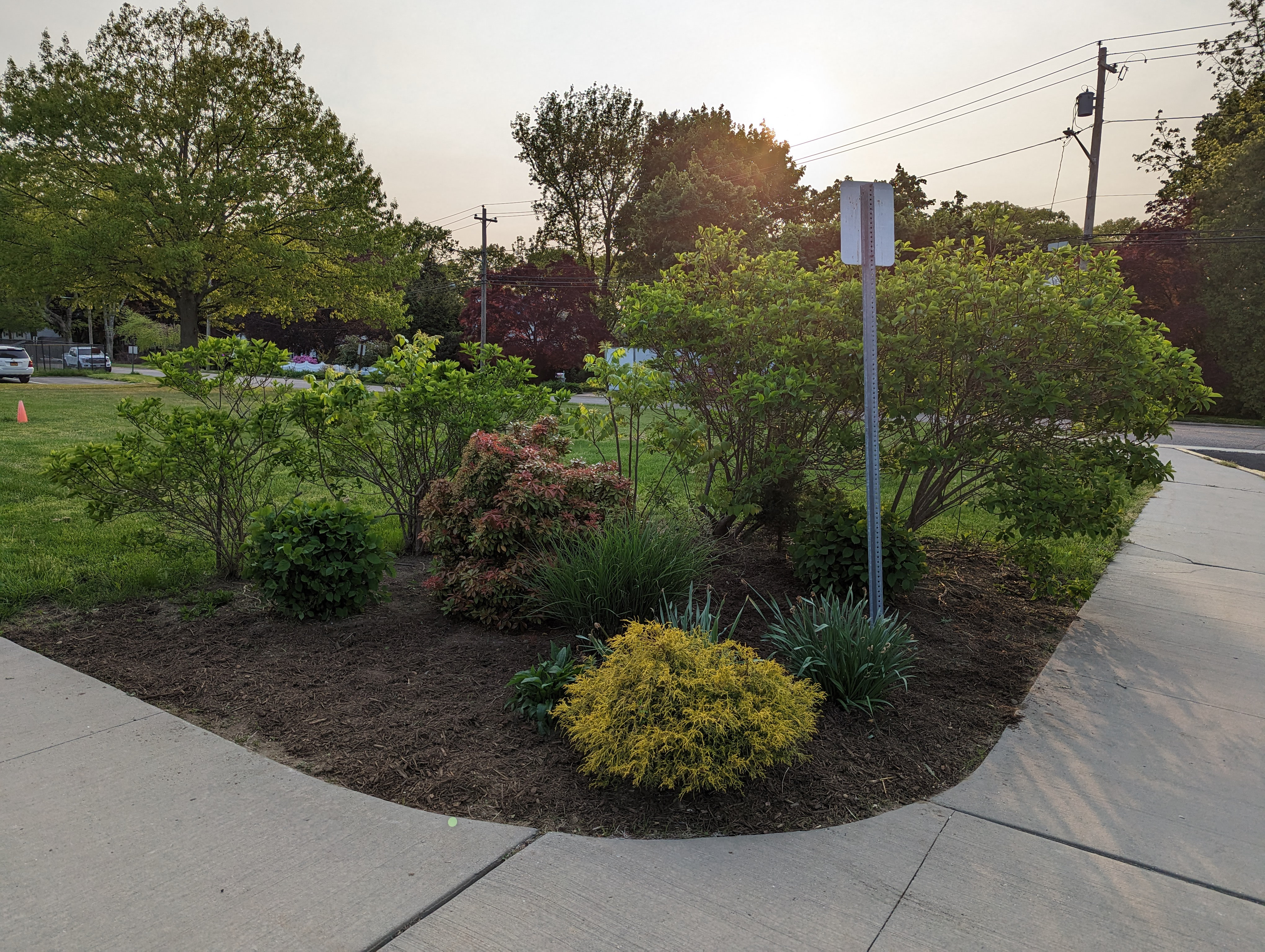 Washington School's grounds are looking beautiful.