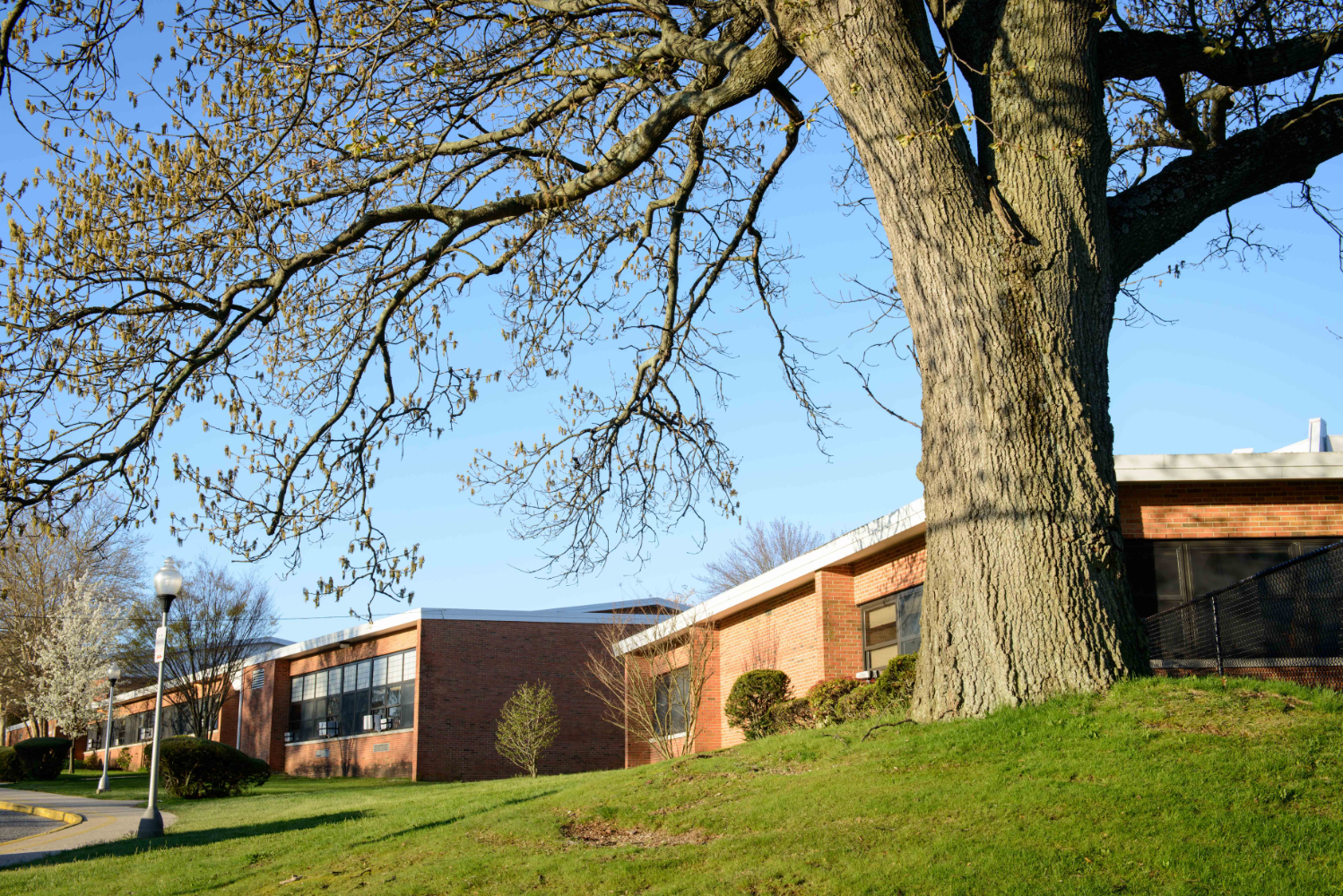  Jack Abrams STEM Magnet School on Lowndes Avenue in Huntington Station. (Darin Reed photo)  