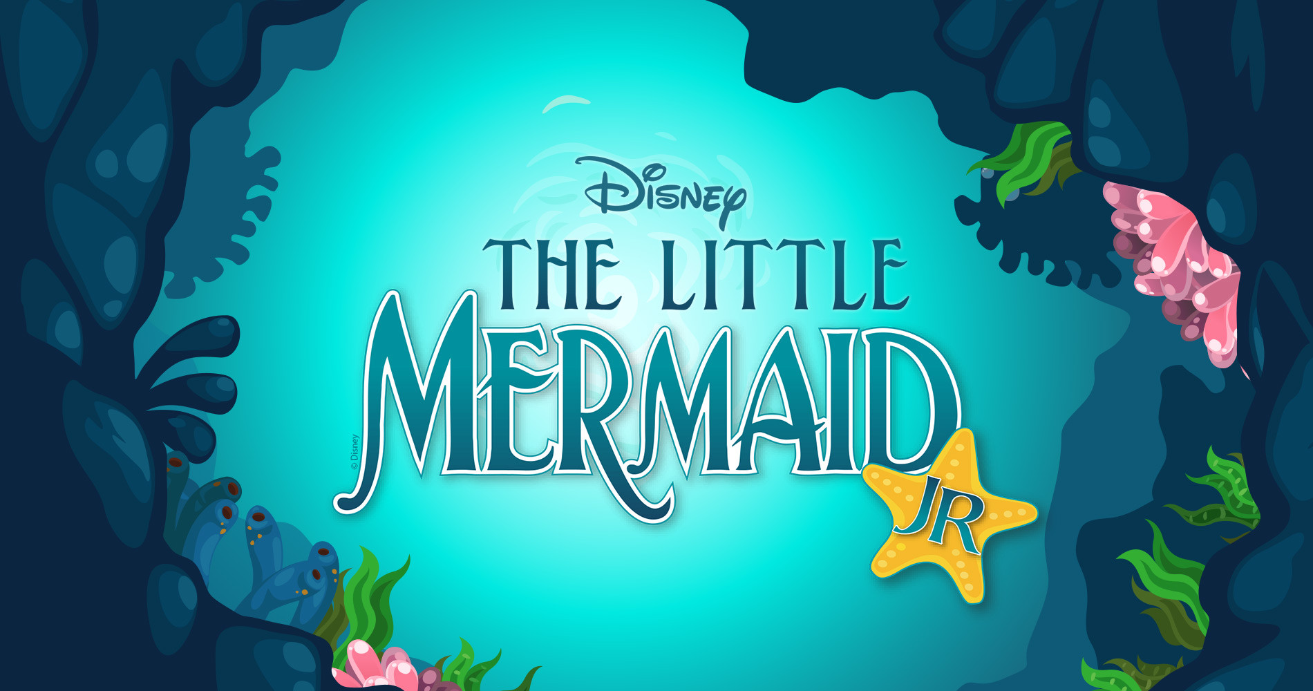  The Woodhull and STEM School drama club will hold auditions for The Little Mermaid, Jr   
