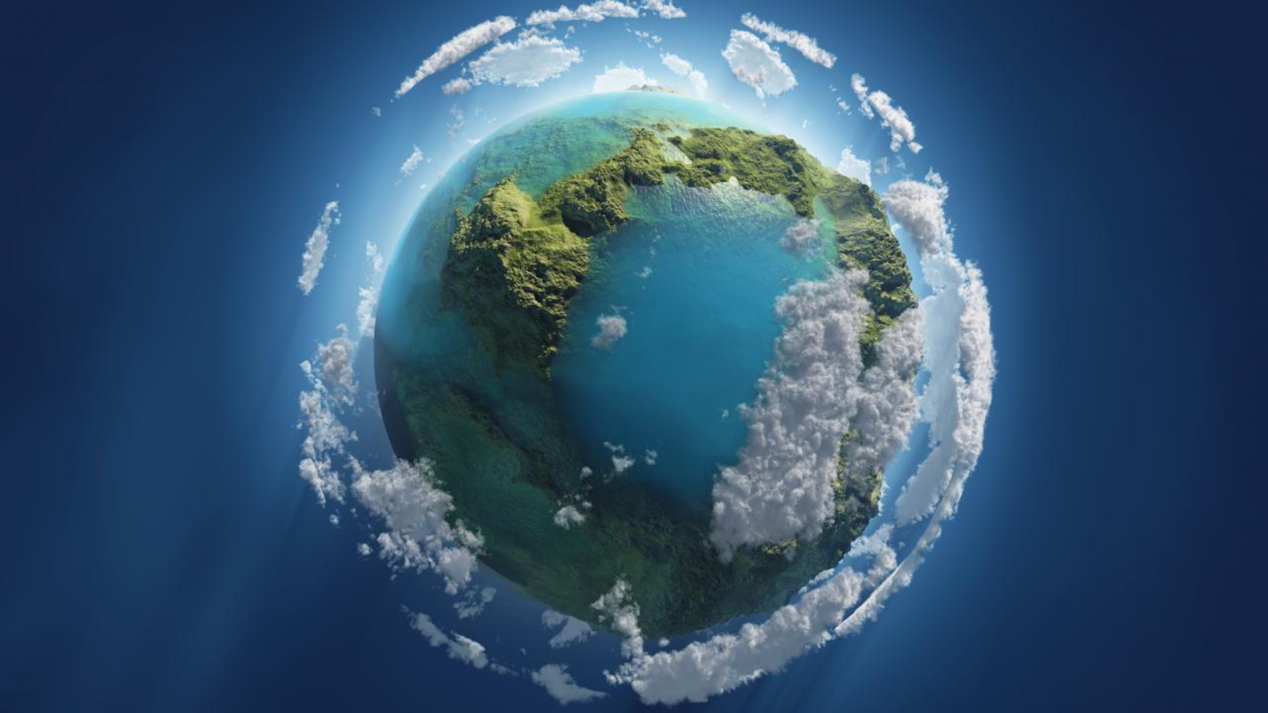  Huntington High School's environmental club plans many exciting intiatives  
