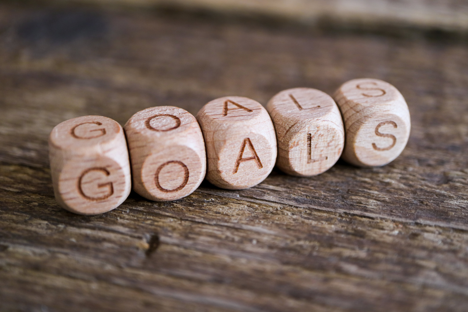  The Huntington School adopted a set of goals for the 2023-24 school year   