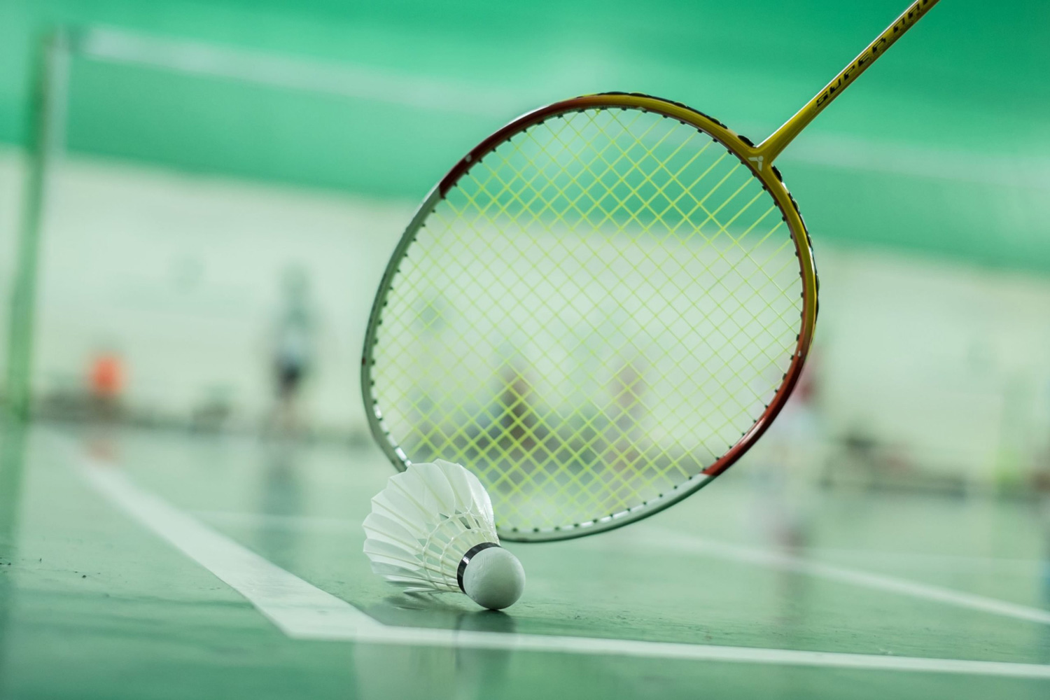  Huntington's new badminton teams need players to sign up now   