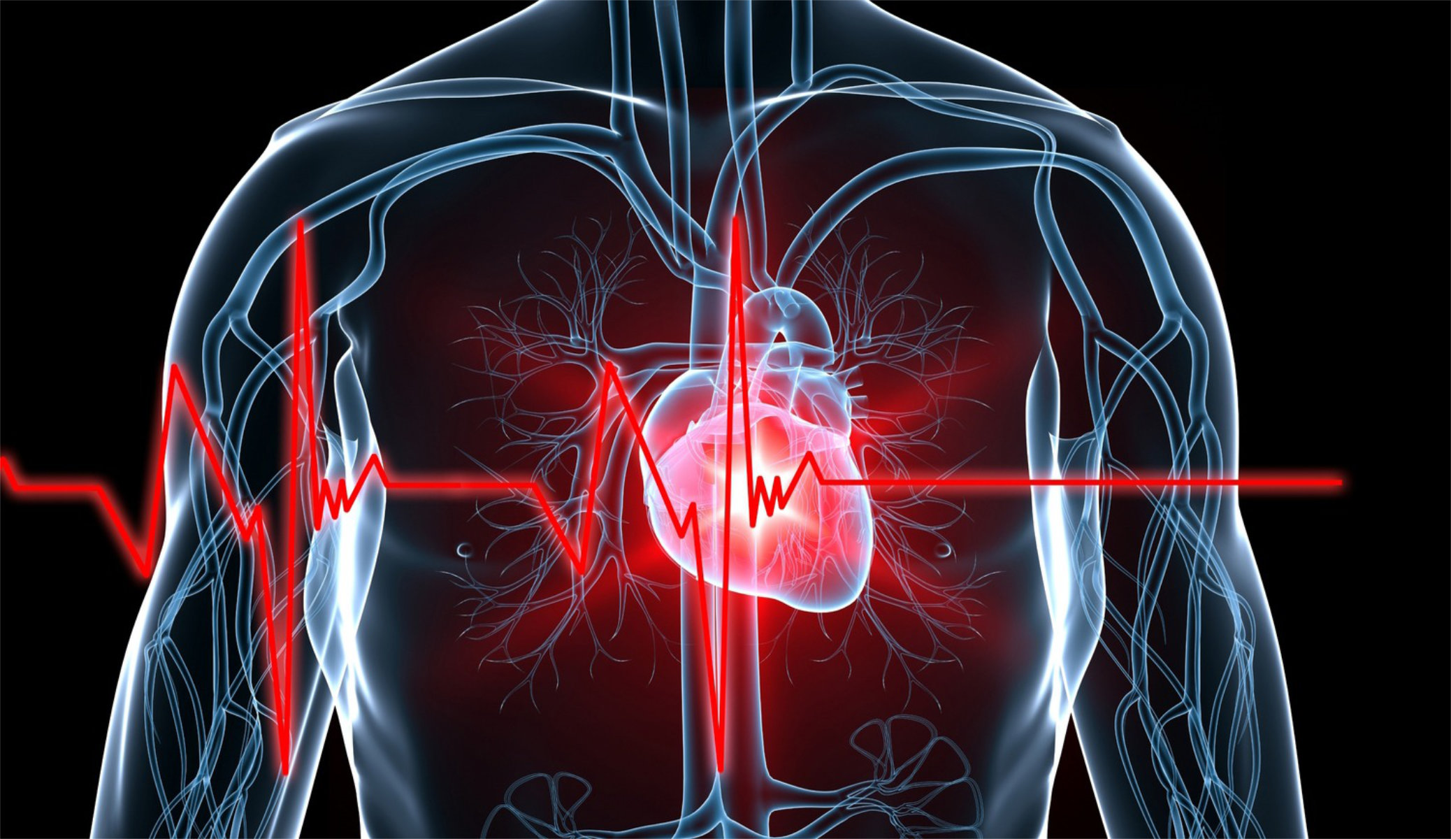 Huntington UFSD is adhering to the Dominic Murray Sudden Cardiac Arrest Prevention Act