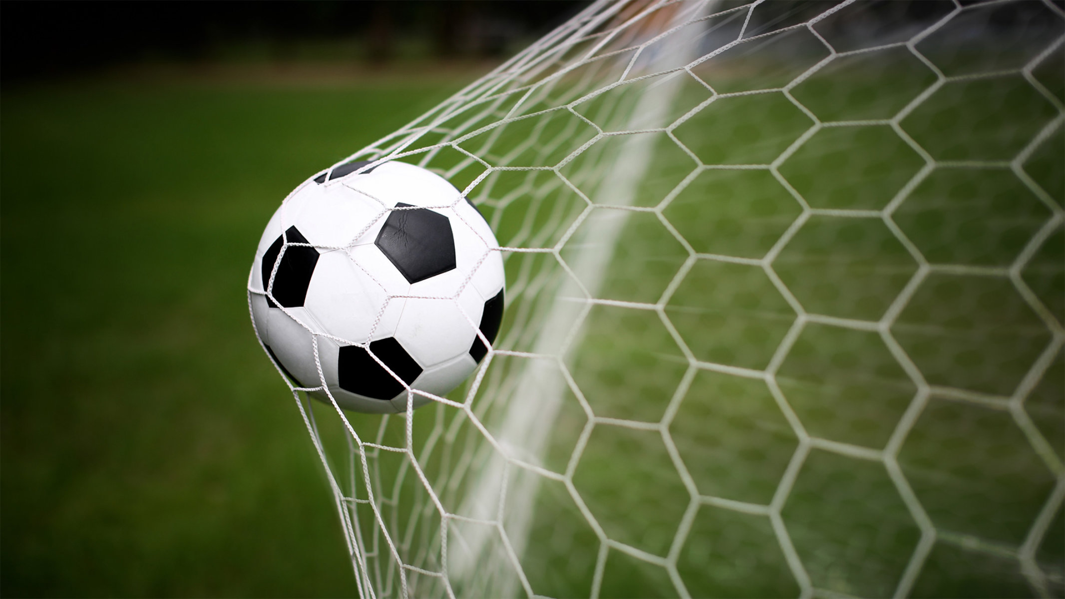 The Finley-White girls' soccer team played its collective heart out this past fall.