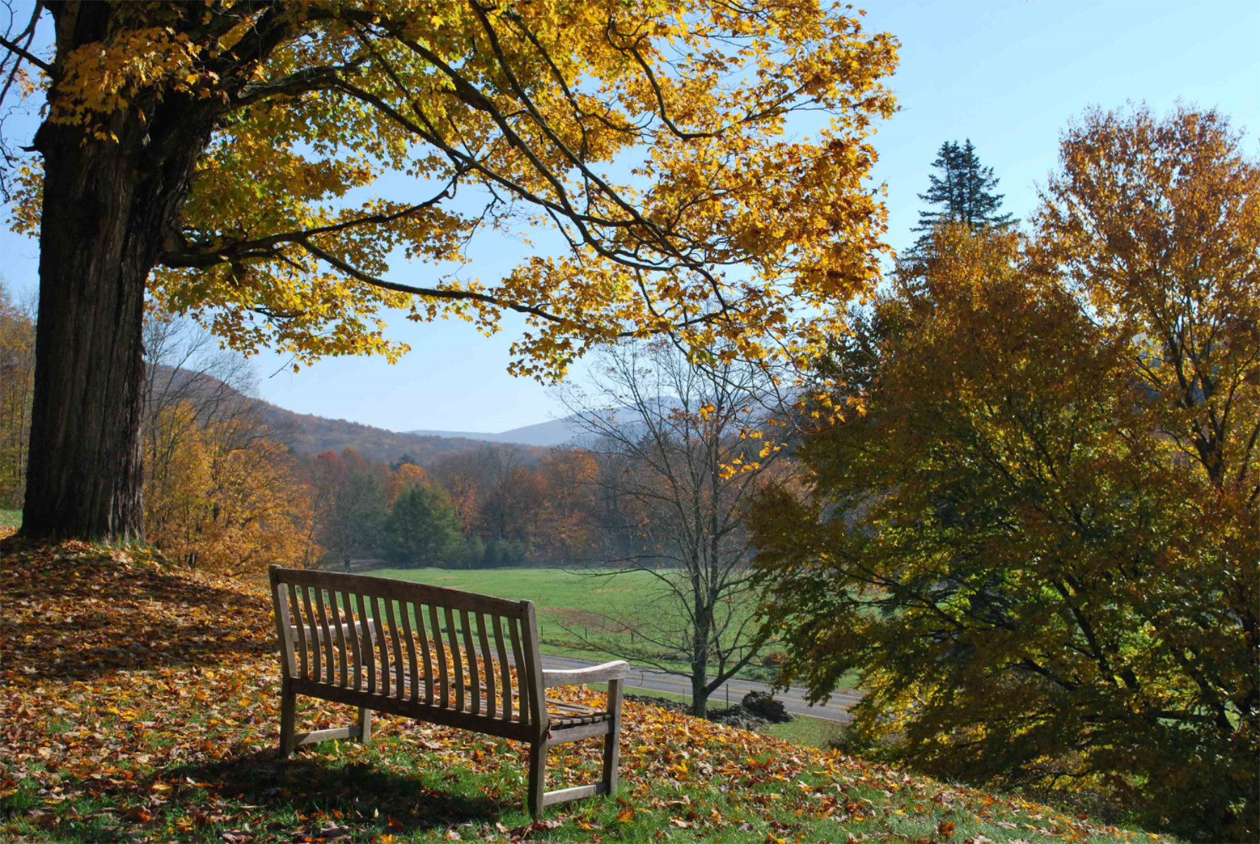 Trustees Approve Overnight Trip to Frost Valley