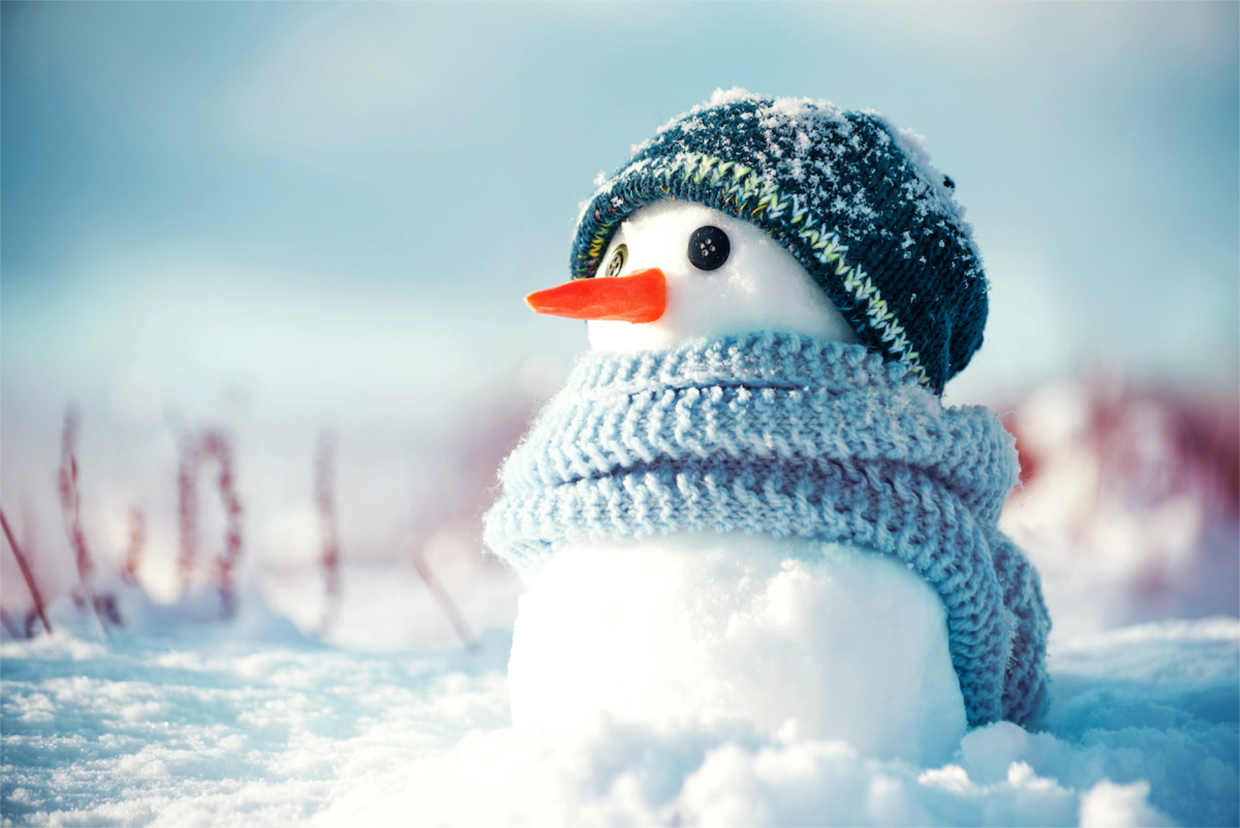 Finley's Winter Season II will begin on Monday, January 13.