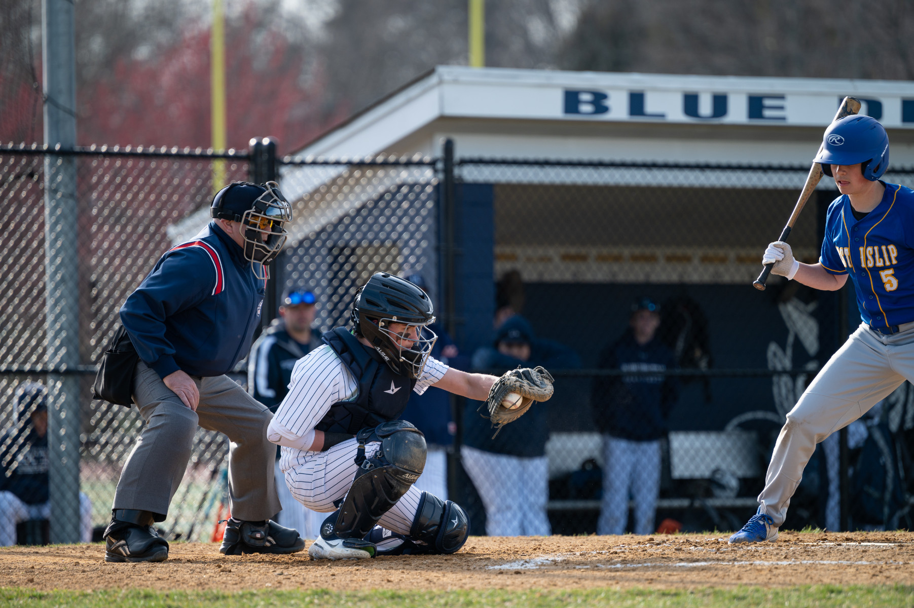  Harry Baliber behind the plate for the Blue Devil baseball team. (Darin Reed photo.)  