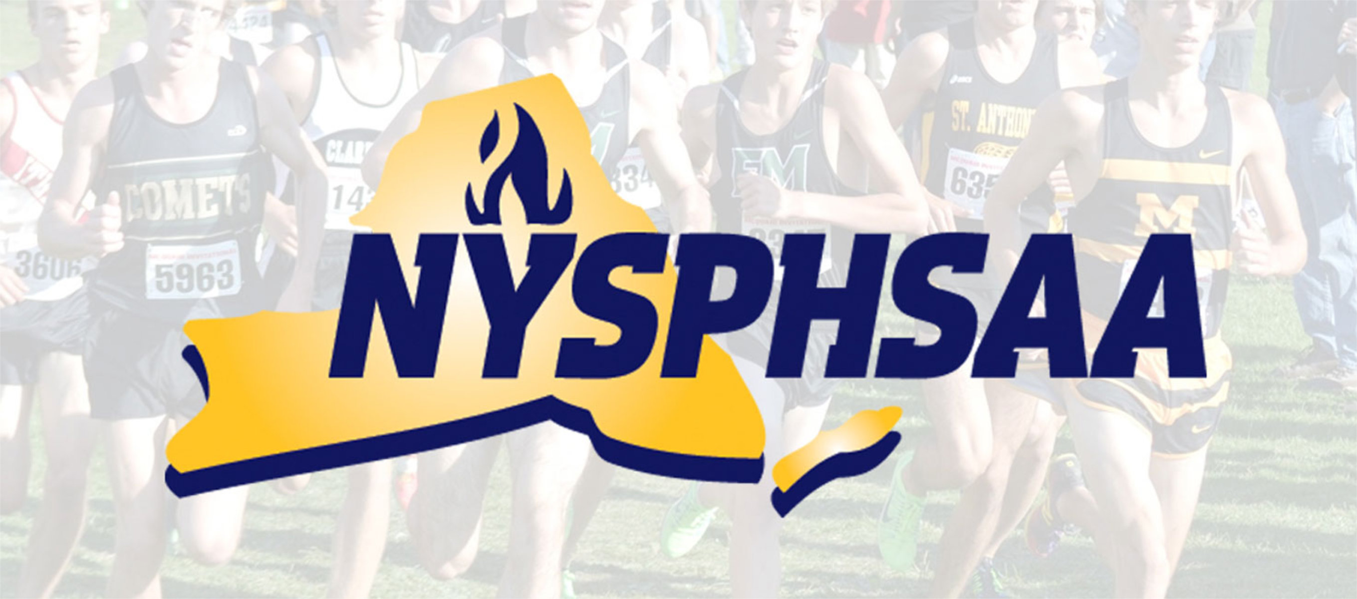 The Blue Devils have won NYSPHSAA's School of Excellence Award