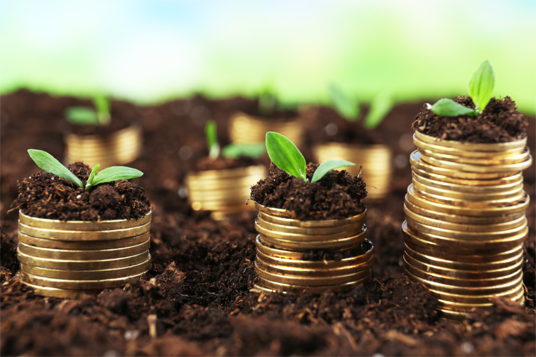  Huntington's Investment Club is No. 1 on LI for portfolio returns.  