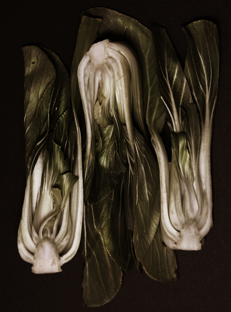  Genesis Bautista Marroquin's artwork was chosen for the LI Best exhibit.  