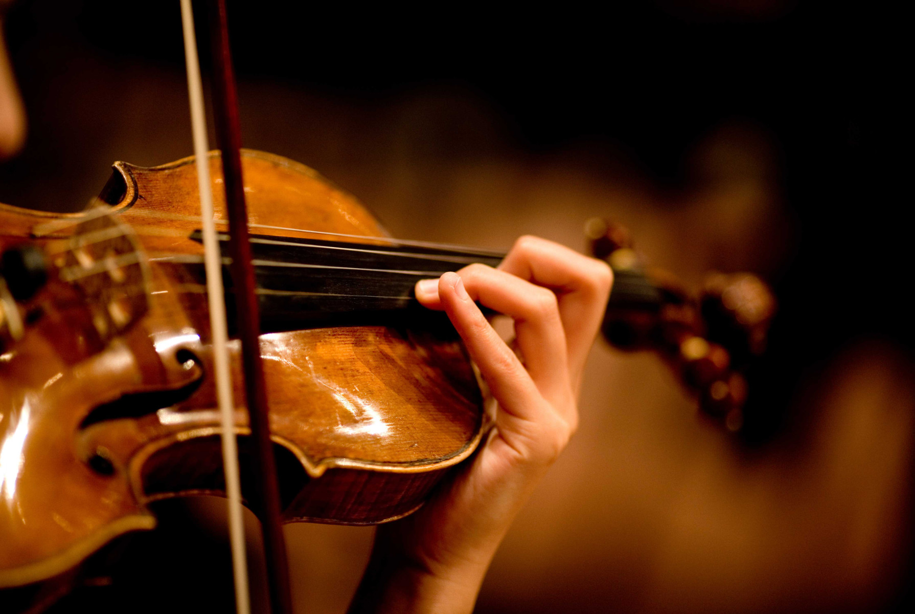 Dozens of Huntington UFSD musicians and vocalists partipated in the SCMEA All-County Festival   