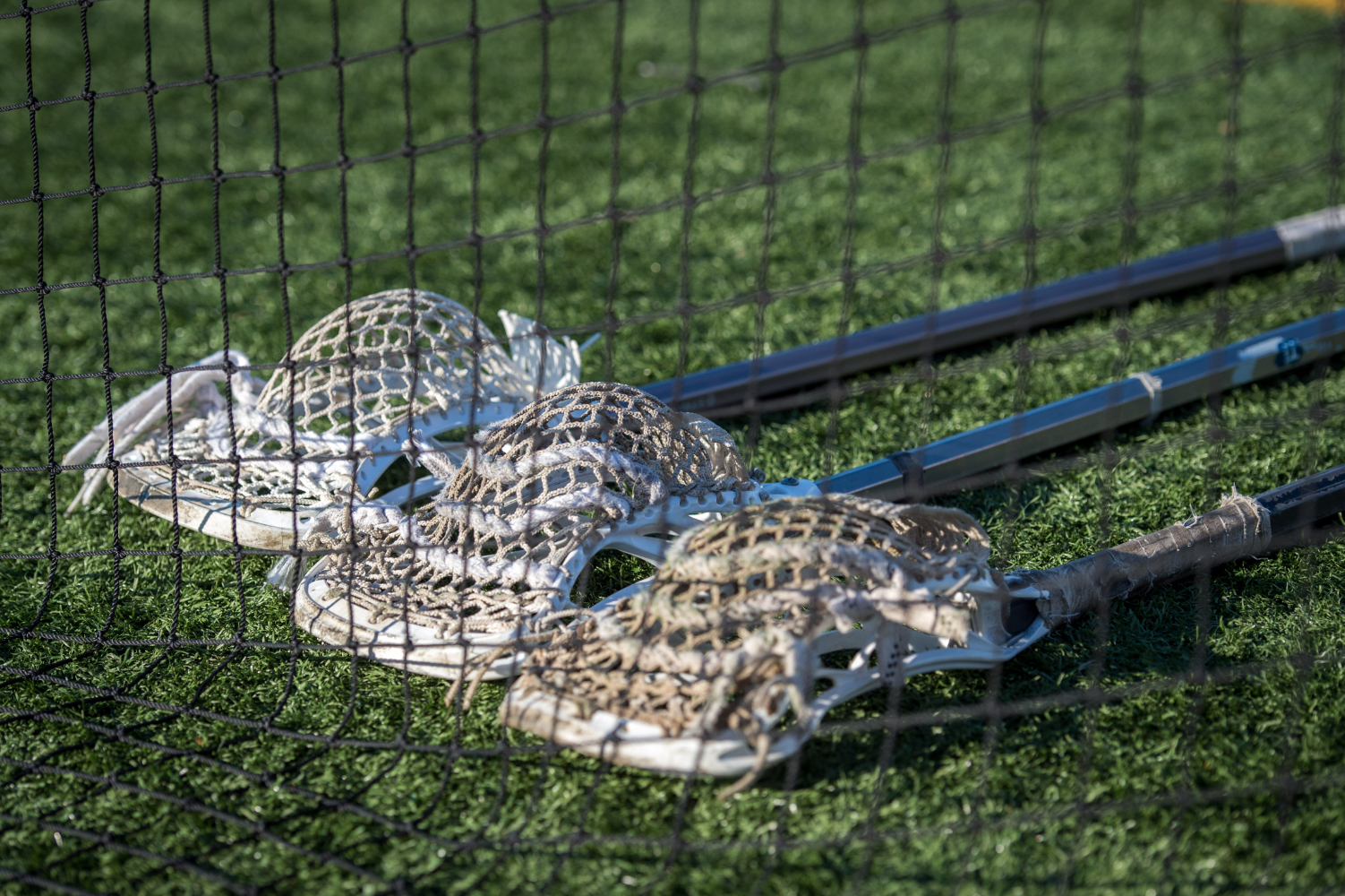  Finley boys' lacrosse is in the midst of another great season. (Darin Reed photo)  