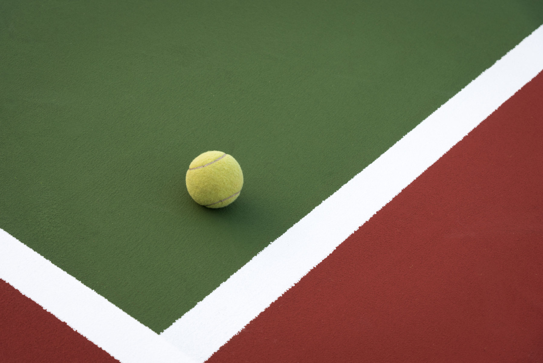 The Finley girls' tennis team achieved near perfection this fall. (Darin Reed photo.)