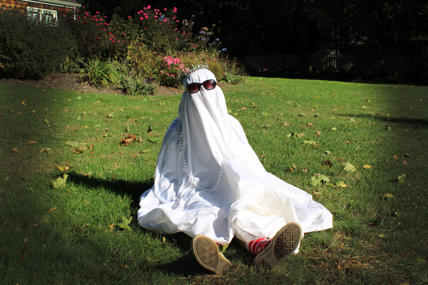  Alex Boeckman's ghost basked in the sunlight.